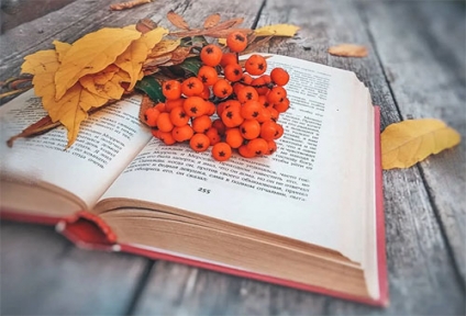Познавательный час: «Читающий народ - любите  книги круглый год»